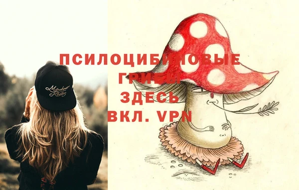 хмурый Балахна
